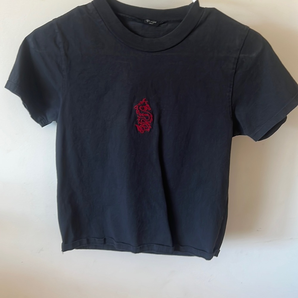 2 brandy melville fitted short sleeves